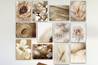 12 tableaux