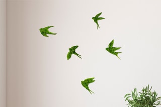Décoration murale Swallows - Vert