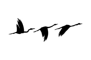 Décoration murale - Noir