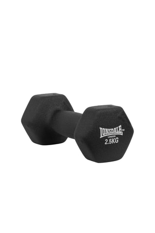 Halter 2,5 kg