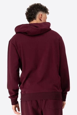 Sweater regular met capuchon - Bordeauxrood
