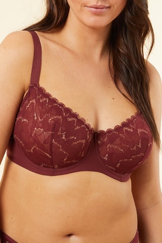 Borstvoedingsbeha Loveyourcurves Bordeauxrood