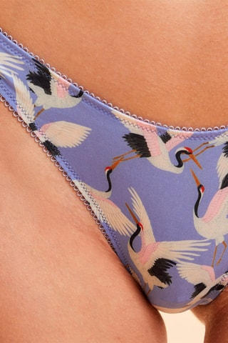 Tanga Lolie Violeta