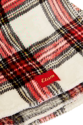Plaid Neil Rood