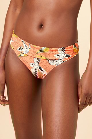 Bikinibroekje Africa Koraalrood