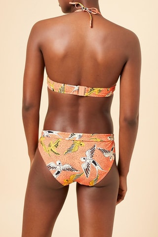 Bikinibroekje Africa Koraalrood