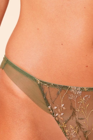 Tanga Louange Mesh Kaki olive