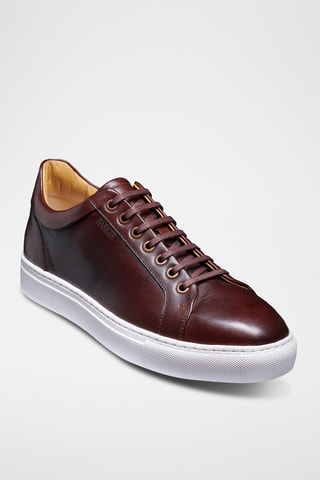Baskets en cuir Sam - Marron