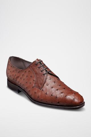 Derbys en cuir d’autruche Sutherland - Marron