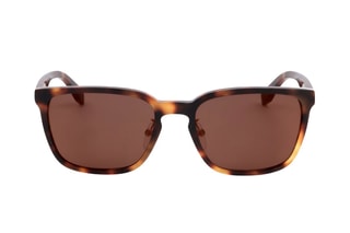 Lunettes de soleil homme - Catégorie 3 - Marron - Adidas