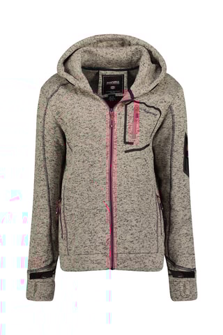 Sweat com capuz Telectrana - Cinzento mesclado