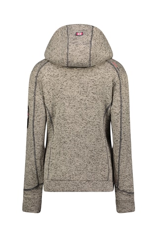 Sweat com capuz Telectrana - Cinzento mesclado