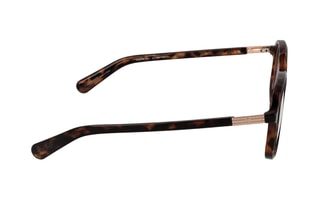 Bril Heren Guess