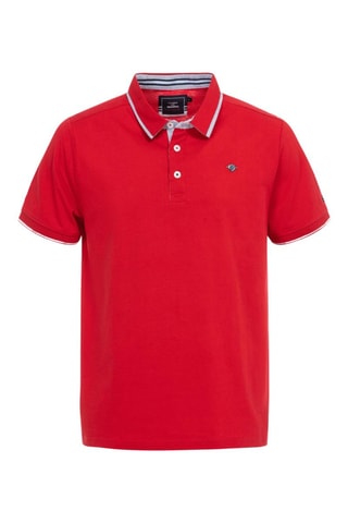 Polo Apolon - Vermelho-rubi Terre de Marins