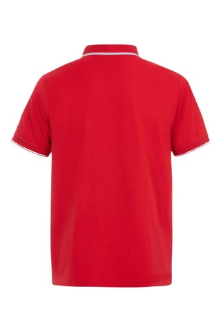 Polo Apolon - Vermelho-rubi Terre de Marins