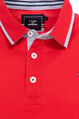 Polo Apolon - Vermelho-rubi Terre de Marins