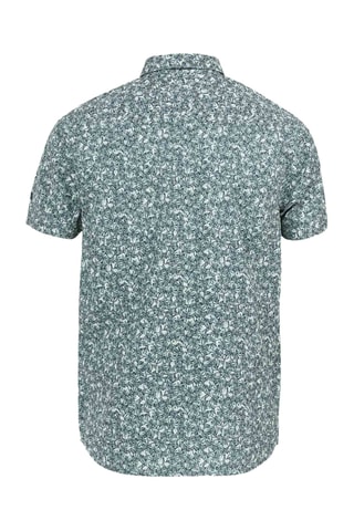 Camisa - Verde