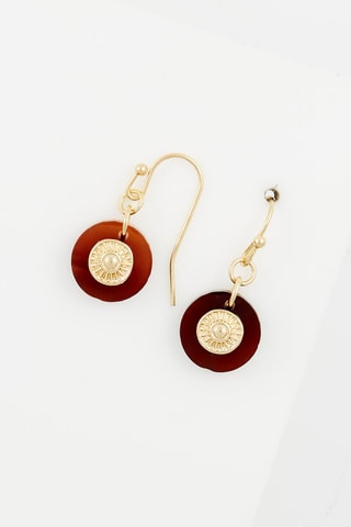 Brincos Thio Dourado e castanho