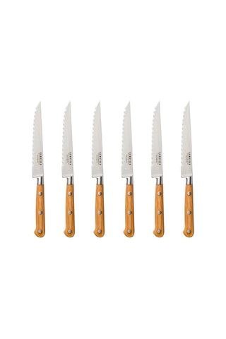 6 couteaux à steak en acier inoxydable Essentiel - 12 cm