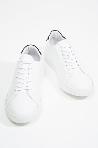 Leren Sneakers Cazitium - Wit