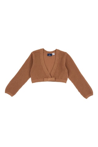 Vest Bruin
