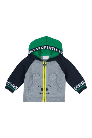 Vest met Capuchon - Grijs