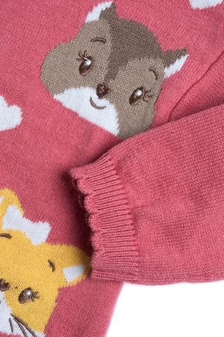 Trui en Legging - Roze