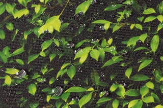 Paravent rétractable occultant - 400 x 180 cm
