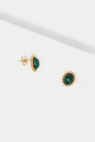 Puces - Malachites