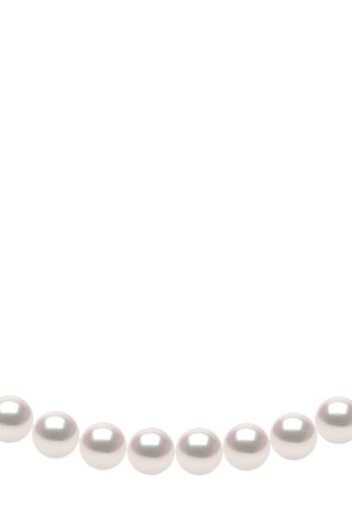 Collier Or blanc et perles Akoya japonaises