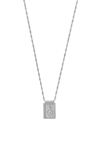 Collier Force Tropicale - Argent