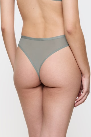 Tanga Delightful Spotlight - Gris foncé