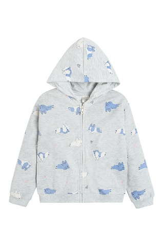 Sweat à capuche - Gris