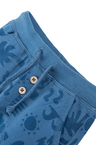 Pantalon - Bleu cobalt et bleu marine