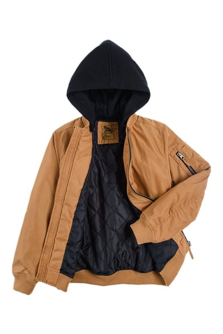 Bomber à capuche - Camel