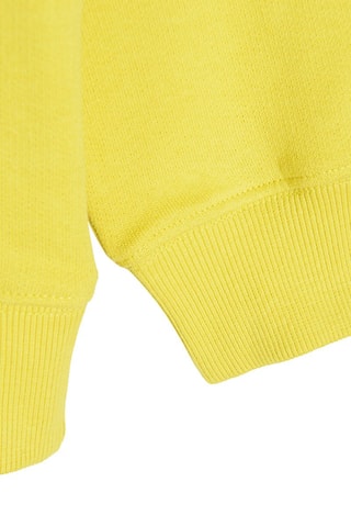 Sweat - Vert clair