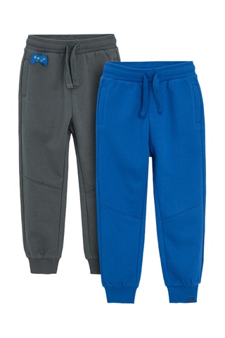 2 pantalons - Gris et bleu cobalt