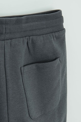 2 pantalons - Gris et bleu cobalt