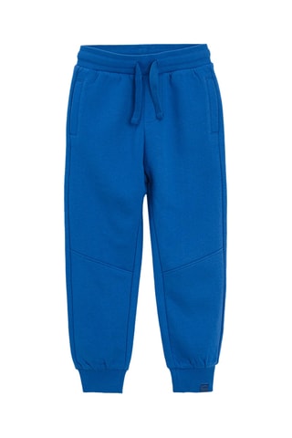 2 pantalons - Gris et bleu cobalt