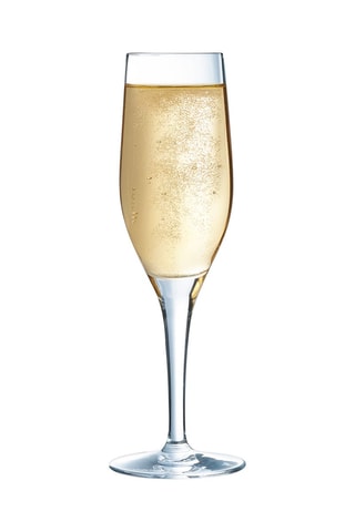6 flûtes en cristallin Sensation 19 cl