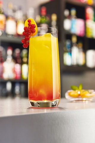 6 verres à eau Vigne - 45 cl