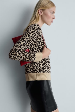 Pull imprimé léopard - Beige