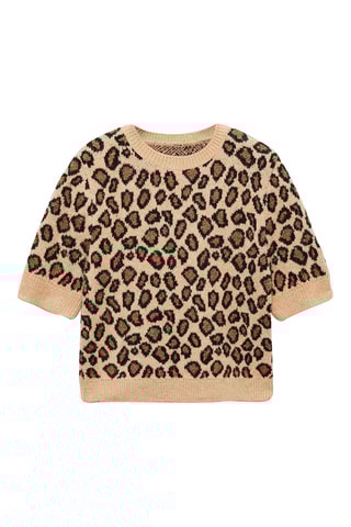 Pull-over manches courtes léopard - Marron