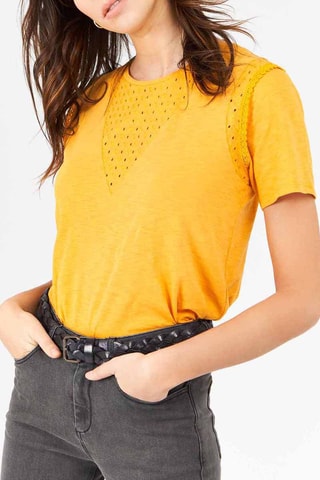 Top Mosterdgeel