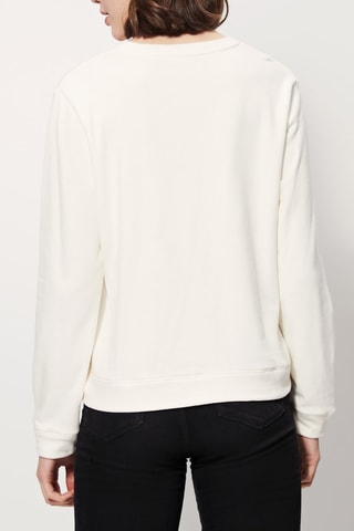 Sweater Wit