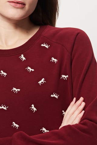 Sweater Saxo Bordeauxrood