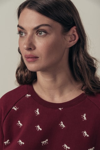 Sweater Saxo Bordeauxrood