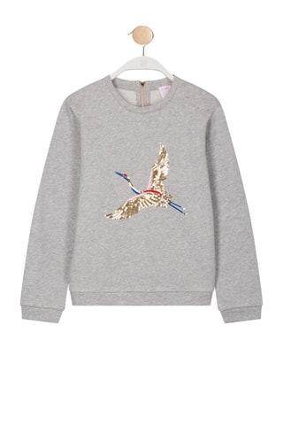 Sweater Sterny Gemêleerd Lichtgrijs