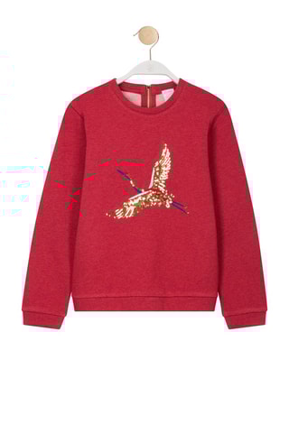 Sweater Sterny Bordeauxrood