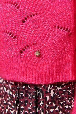 Trui Matteo - Fuchsia